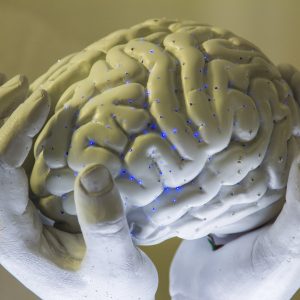 7 апреля – Всемирный день здоровья. Топ — 10 интересных фактов про мозг